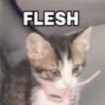 PseudoBones's Avatar